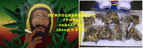 сатива Медвежьегорск