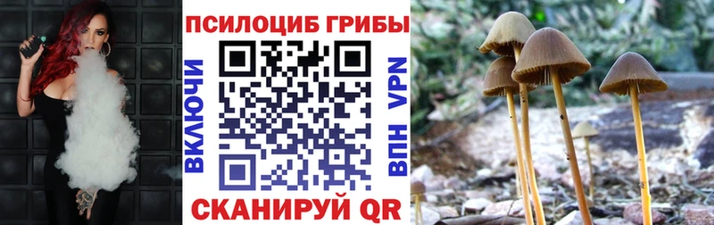 купить  сайты  Холм  маркетплейс официальный сайт  Псилоцибиновые грибы Cubensis 